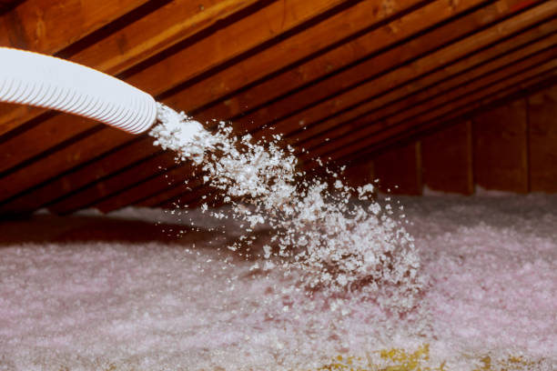 Best DIY Insulation Kits and Guidance in Bradley Beach, NJ